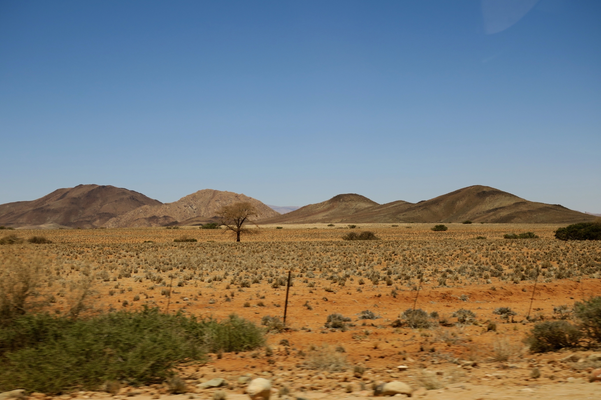 アフリカ・サバンナ